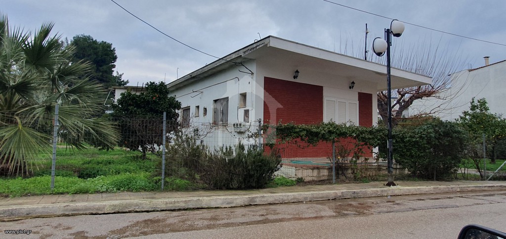 Ακίνητο 1.300 τ.μ. πρός πώληση, Φθιώτιδας, Δαφνούσες
