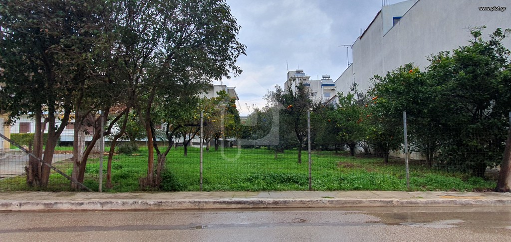 Ακίνητο 1.300 τ.μ. πρός πώληση, Φθιώτιδας, Δαφνούσες