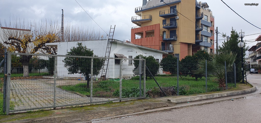 Ακίνητο 1.300 τ.μ. πρός πώληση, Φθιώτιδας, Δαφνούσες