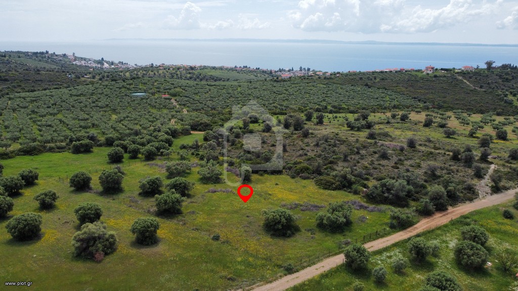 Αγροτεμάχια 4.150 τ.μ. προς πώληση, Σκάλα Γερακινής