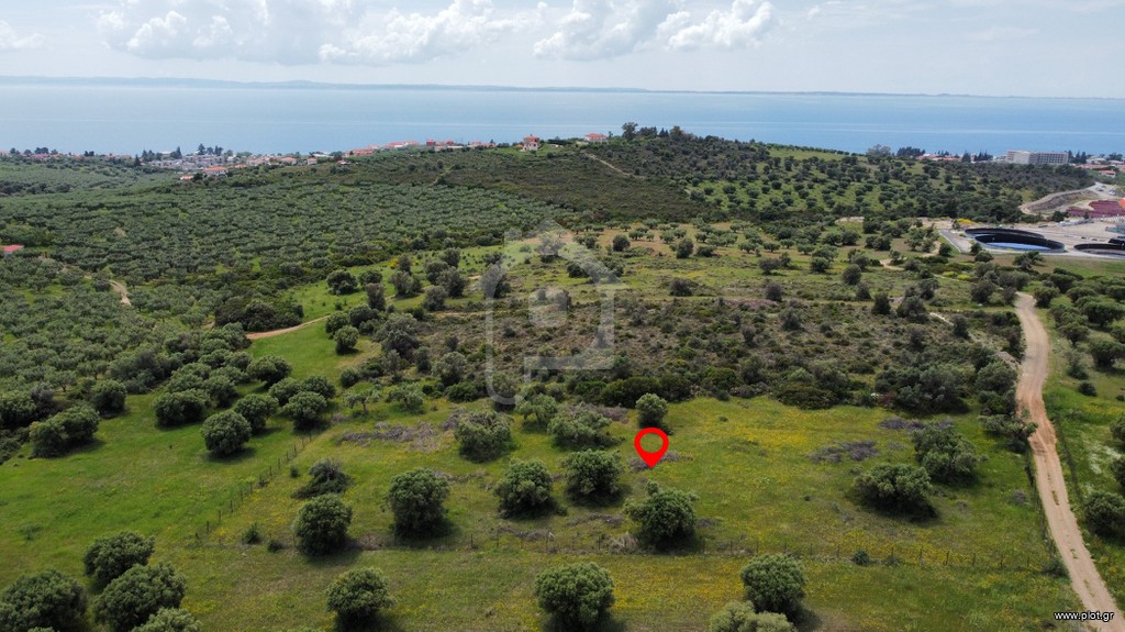 Αγροτεμάχια 4.150 τ.μ. προς πώληση, Σκάλα Γερακινής