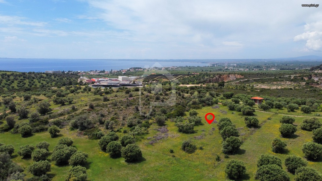 Αγροτεμάχια 4.150 τ.μ. προς πώληση, Σκάλα Γερακινής
