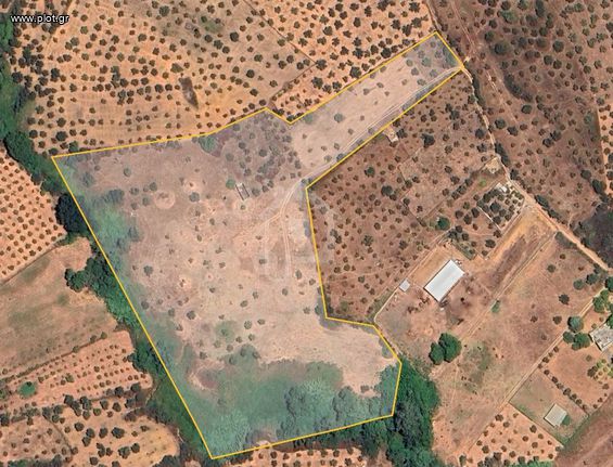 Αγροτεμάχια 29.000 τ.μ. για πώληση, Μεσσηνία, Μεσσήνη