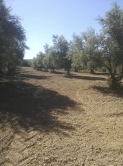 Αγροτεμάχια 15.500 τ.μ. για πώληση, Μεσσηνία, Ανδρούσα-thumb-1