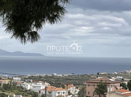 Μονοκατοικία 240 τ.μ. για ενοικίαση