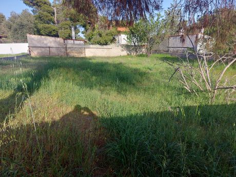 Parcel 500 sqm for sale