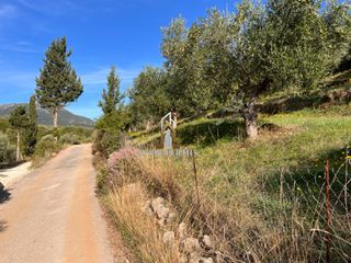 Οικόπεδο 3.750 τ.μ. για πώληση, Ν. Λευκάδας, Λευκάδα-thumb-11