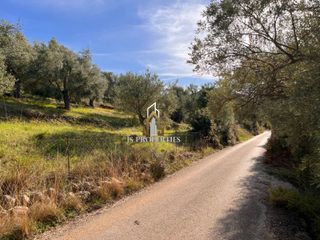 Οικόπεδο 3.750 τ.μ. για πώληση, Ν. Λευκάδας, Λευκάδα-thumb-12