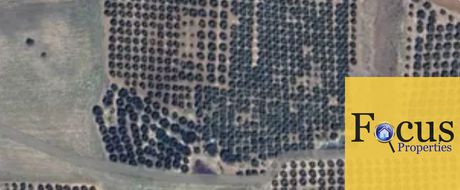 Parcel 23.000sqm for sale-Moudania