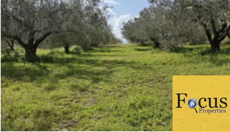 Parcel 53.000sqm for sale-Mycenae