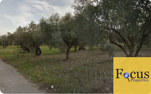 Αγροτεμάχια 45.000 τ.μ. για πώληση, Λακωνία, Φαρίδα
