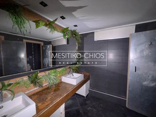 Κατάστημα 326 τ.μ. προς ενοικίαση, Πόλη Χίου-thumb-20