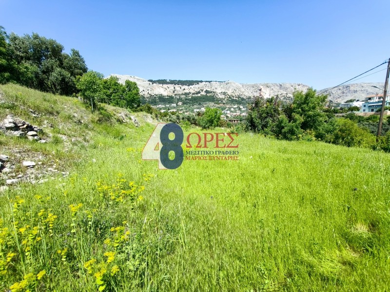 Οικόπεδο 1.081 τ.μ. προς πώληση, Ομηρούπολη