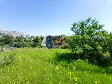Οικόπεδο 1.081 τ.μ. για πώληση