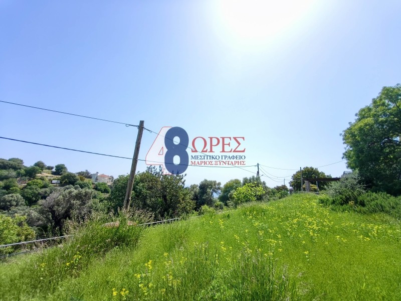 Οικόπεδο 1.081 τ.μ. προς πώληση, Ομηρούπολη