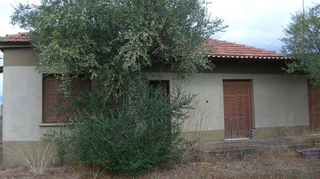 Οικόπεδο 5.000 τ.μ. για πώληση