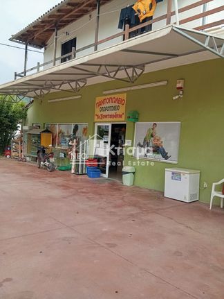 Κατάστημα 137 τ.μ. για ενοικίαση, Ν. Ηλείας, Αρχαία Ολυμπία