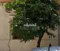 Οικόπεδο 240τ.μ. για πώληση-Παλαιά κοκκινιά