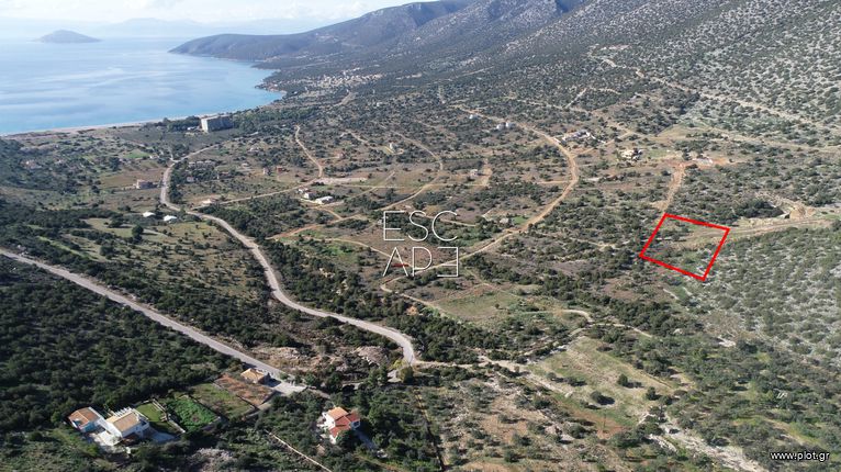 Οικόπεδο 1.000 τ.μ. για πώληση, Αργολίδα, Κρανίδι