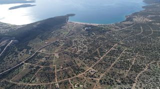 Οικόπεδο 1.000 τ.μ. για πώληση, Αργολίδα, Κρανίδι-thumb-9