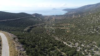 Οικόπεδο 1.000 τ.μ. για πώληση, Αργολίδα, Κρανίδι-thumb-12