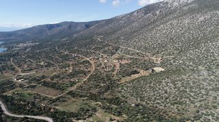 Οικόπεδο 1.000 τ.μ. για πώληση, Αργολίδα, Κρανίδι-thumb-14