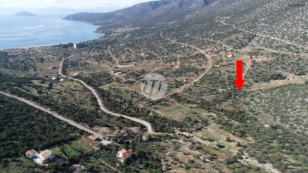 Οικόπεδο 1.000 τ.μ. πρός πώληση, Αργολίδα, Κρανίδι