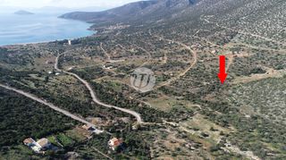 Οικόπεδο 1.000 τ.μ. προς πώληση, Σαλάντι-thumb-1