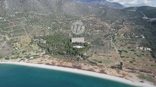 Οικόπεδο 1.000 τ.μ. προς πώληση, Σαλάντι-thumb-2