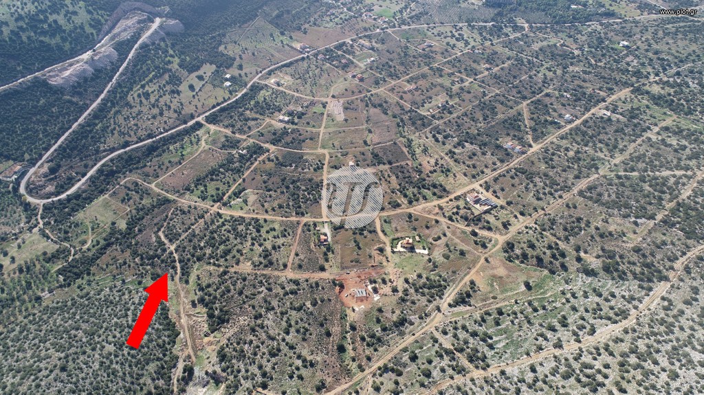Οικόπεδο 1.000 τ.μ. πρός πώληση, Αργολίδα, Κρανίδι