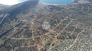 Οικόπεδο 1.000 τ.μ. προς πώληση, Σαλάντι-thumb-7