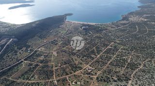 Οικόπεδο 1.000 τ.μ. προς πώληση, Σαλάντι-thumb-8