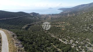 Οικόπεδο 1.000 τ.μ. προς πώληση, Σαλάντι-thumb-12