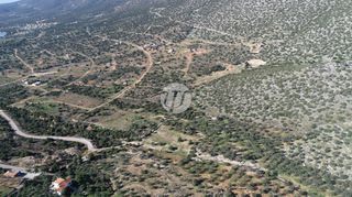 Οικόπεδο 1.000 τ.μ. προς πώληση, Σαλάντι-thumb-13