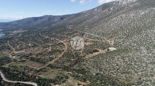 Οικόπεδο 1.000 τ.μ. προς πώληση, Σαλάντι-thumb-14