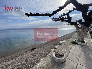 Μονοκατοικία 39 τ.μ. για πώληση, Εύβοια, Λίμνη-thumb-20