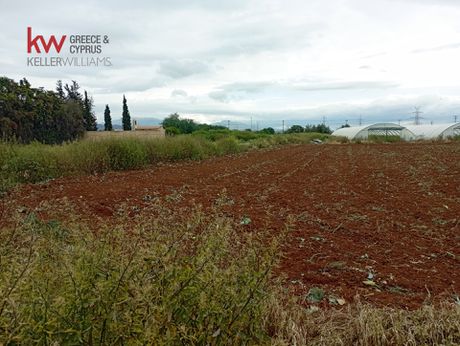 Land plot 22.000sqm for rent-Koropi