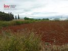 Land plot 22.000sqm for rent-Koropi