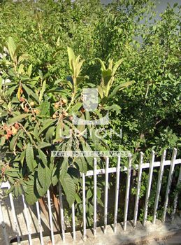 Land plot 350sqm for sale-Agia Paraskevi » Tsakos