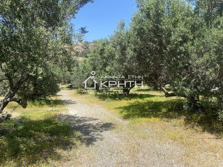 Land plot 2.338sqm for sale-Ierapetra » Koutsounari