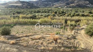 Οικόπεδο 4.563,06 τ.μ. για πώληση, Ν. Λασιθίου, Ιεράπετρα-thumb-6