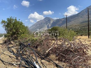 Οικόπεδο 2.643 τ.μ. για πώληση