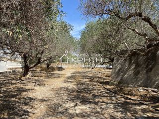 Οικόπεδο 10.000 τ.μ. για πώληση, Ν. Λασιθίου, Ιεράπετρα-thumb-4