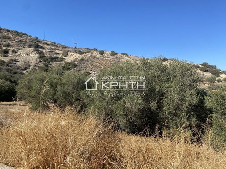 Land plot 7.000sqm for sale-Ierapetra » Stomio