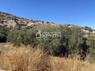 Οικόπεδο 7.000 τ.μ. για πώληση