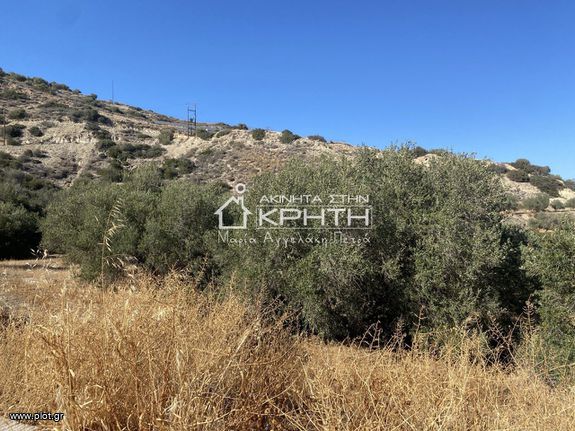 Οικόπεδο 7.000 τ.μ. για πώληση, Ν. Λασιθίου, Ιεράπετρα