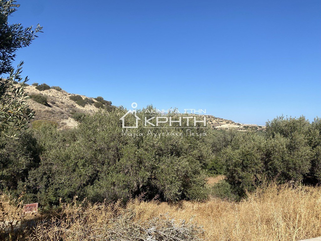 Οικόπεδο 7.000 τ.μ. πρός πώληση, Ν. Λασιθίου, Ιεράπετρα