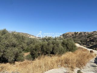 Οικόπεδο 7.000 τ.μ. για πώληση, Ν. Λασιθίου, Ιεράπετρα-thumb-2