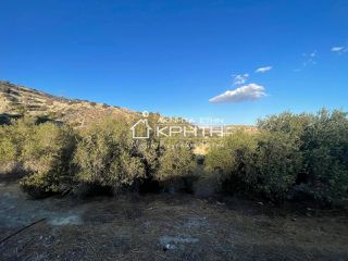 Οικόπεδο 7.000 τ.μ. για πώληση, Ν. Λασιθίου, Ιεράπετρα-thumb-5