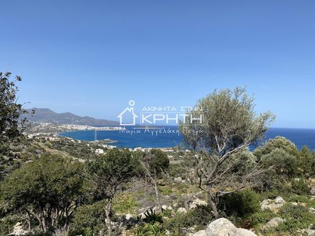 Land plot 7.000sqm for sale-Agios Nikolaos » Ammoudara